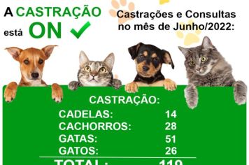 Castrações e Consultas no mês de Junho 2022: