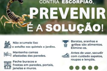 Escorpião: Prevenir é a solução