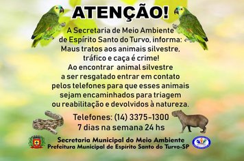 Preservação animais silvestres