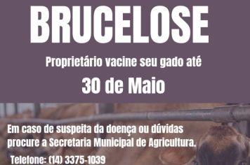 VACINAÇÃO CONTRA BRUCELOSE