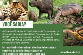 Proteção da Fauna Silvestre