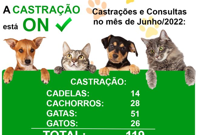 Castrações e Consultas no mês de Junho 2022: