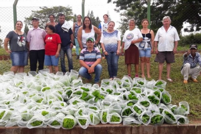 Segunda Colheita Horta Hidropônica.